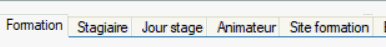 onglets si Activité Formation